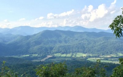 VILLAGE REPORT – ‘Great resolution’: Former timeshare owners finally see payout